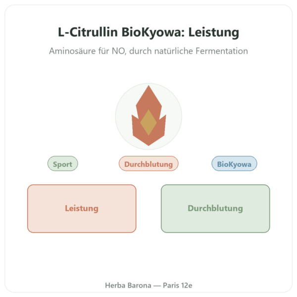 L-Citrullin Pulver BioKyowa – Nutrimuscle – 500 g Vorstellung Paris Herba Barona