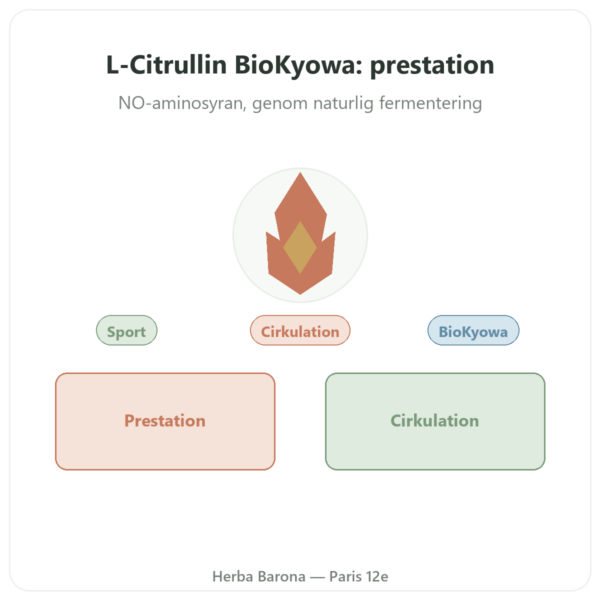 L-Citrullin pulver BioKyowa – Nutrimuscle – 500 g presentation Paris Herba Barona