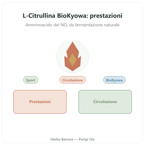 L-Citrullina Polvere BioKyowa – Nutrimuscle – 500 g presentazione Paris Herba Barona