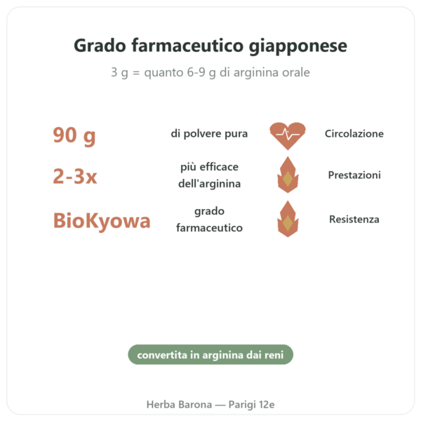 L-Citrullina Polvere BioKyowa – Nutrimuscle – 90 g benefici e dati chiave Paris Herba Barona