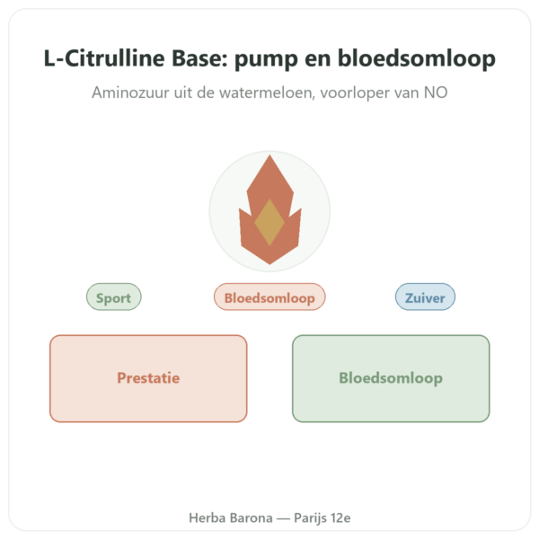 L-Citrulline Base - Nutrimuscle - 90 capsules presentatie Paris Herba Barona