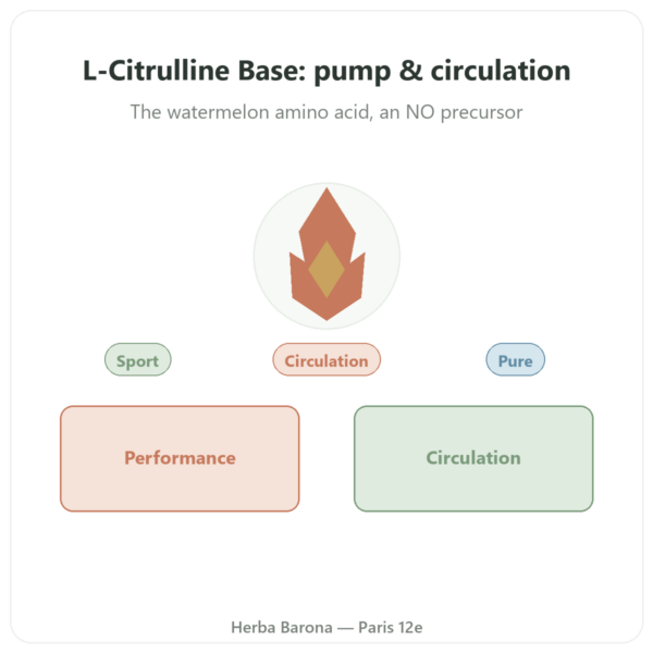 L-Citrulline Base – Nutrimuscle – 90 capsules presentation Paris Herba Barona
