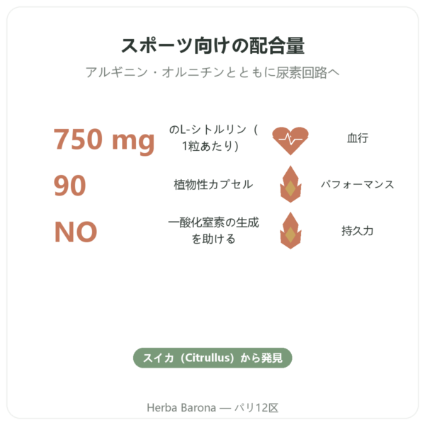 シトルリン 750mg – Now Foods – 90カプセル benefits and key facts Paris Herba Barona