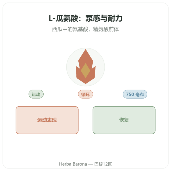 Citrulline 750mg - Now Foods - 90 粒胶囊 产品展示 Paris Herba Barona