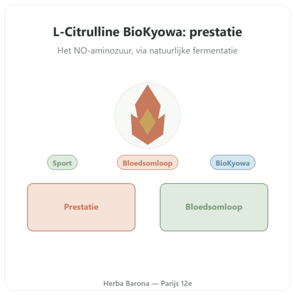 L-Citrulline poeder BioKyowa – Nutrimuscle – 500 g presentatie Paris Herba Barona