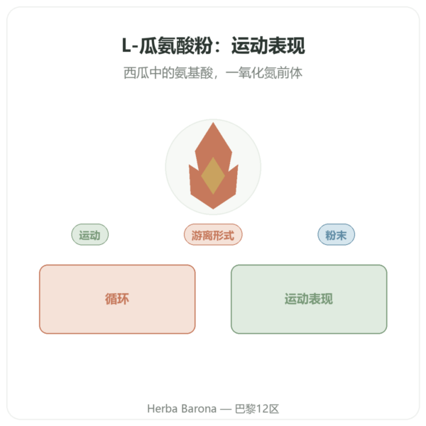 Doctor's Best 瓜氨酸粉末 200 g 产品展示 Paris Herba Barona