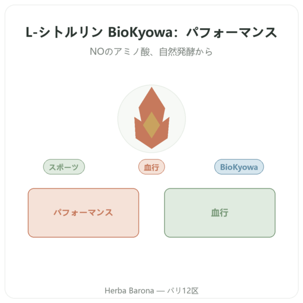 L-シトルリン パウダー BioKyowa – Nutrimuscle – 500 g presentation Paris Herba Barona