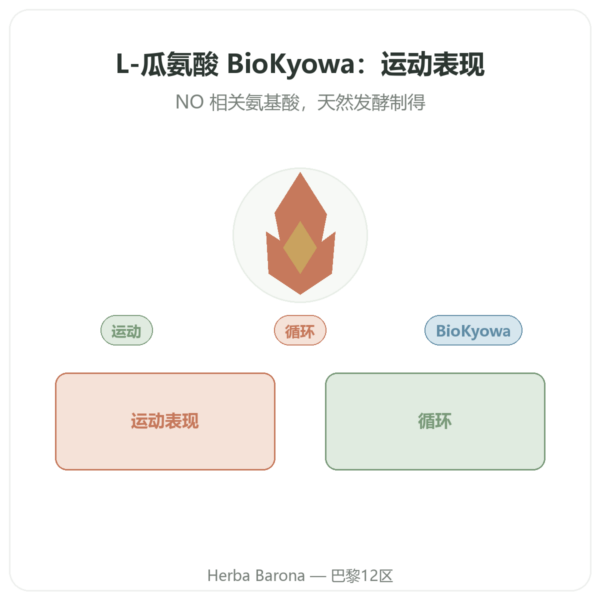 BioKyowa L-瓜氨酸粉 – Nutrimuscle – 500 克 产品展示 Paris Herba Barona