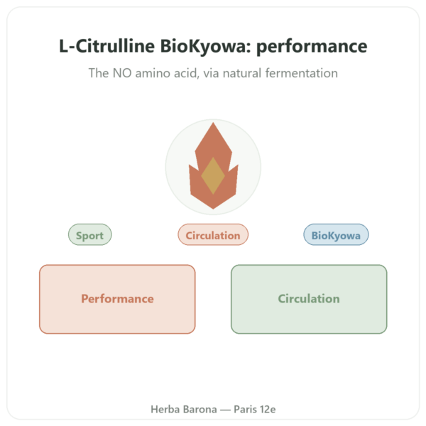L-Citrulline Powder BioKyowa – Nutrimuscle – 500g presentation Paris Herba Barona