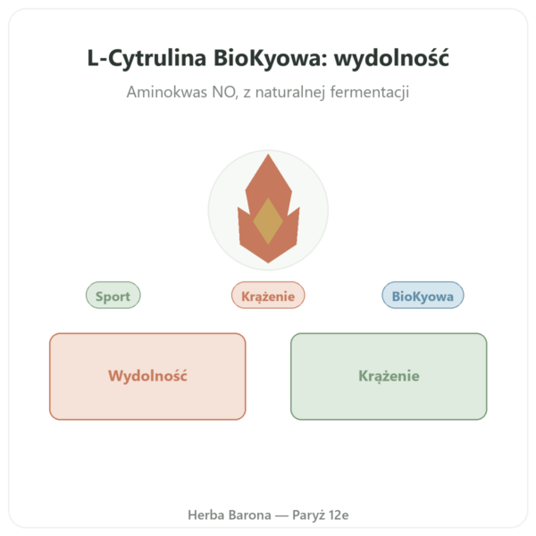 L-Cytrulina w proszku BioKyowa – Nutrimuscle – 500 g prezentacja Paris Herba Barona