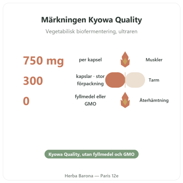 L-Glutamin 750 mg – 300 kapslar – Dynveo – Kyowa Quality fördelar och nyckelfakta Paris Herba Barona