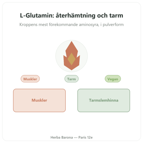 L-Glutamin pulver Dynveo Kyowa Quality 750 g presentation Paris Herba Barona