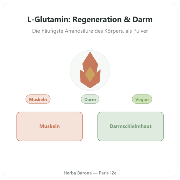 L-Glutamin Pulver Kyowa Quality™ 750 g – Dynveo Vorstellung Paris Herba Barona