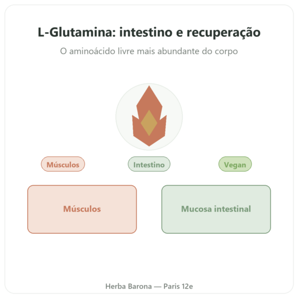 L-Glutamina 750 mg – 60 cápsulas – Dynveo – Kyowa Quality apresentação Paris Herba Barona