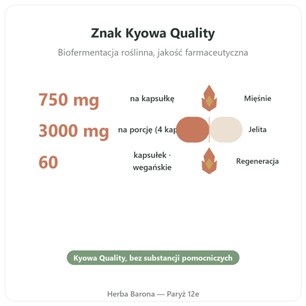L-Glutamina 750 mg – 60 kapsułek – Dynveo – Kyowa Quality korzyści i najważniejsze fakty Paris Herba Barona