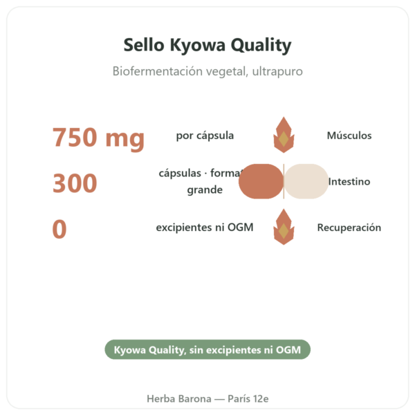 L-Glutamina 750 mg – 300 cápsulas – Dynveo – Kyowa Quality beneficios y datos clave Paris Herba Barona