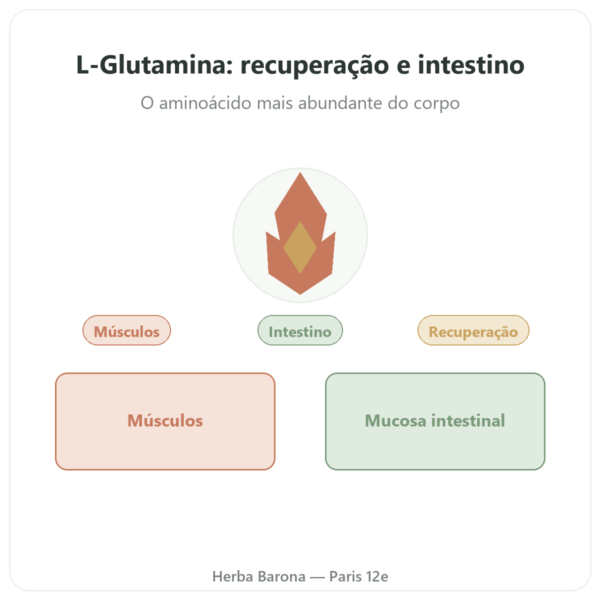 L-Glutamina 750 mg 300 cápsulas Dynveo Kyowa Quality apresentação Paris Herba Barona