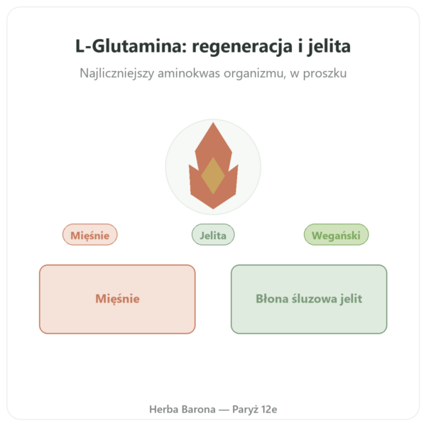 L-Glutamina w proszku Dynveo Kyowa Quality 750g prezentacja Paris Herba Barona