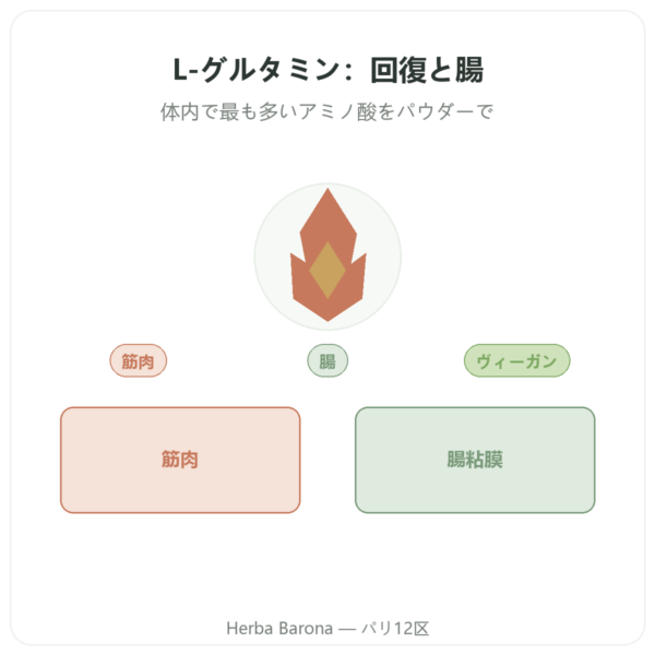 L-グルタミン パウダー Dynveo Kyowa Quality 750g presentation Paris Herba Barona