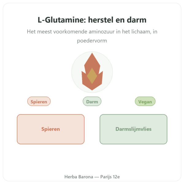 L-Glutamine poeder Dynveo Kyowa Quality 750g presentatie Paris Herba Barona