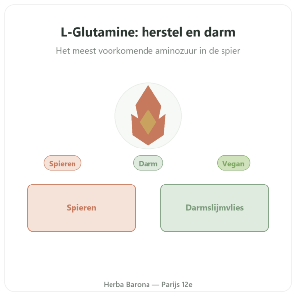 L-Glutamine Dynveo POEDER Kyowa Quality 150g presentatie Paris Herba Barona