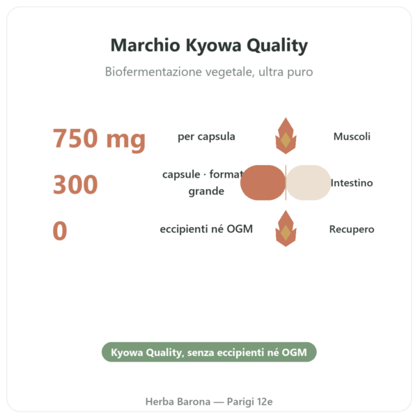 L-Glutammina 750 mg – 300 capsule – Dynveo – Kyowa Quality benefici e dati chiave Paris Herba Barona