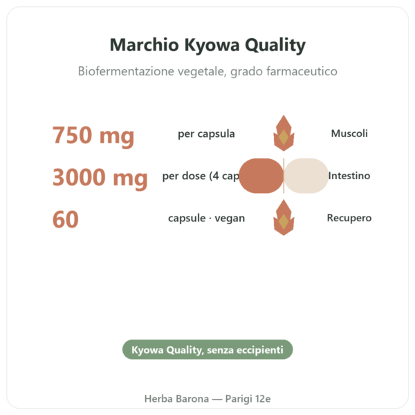 L-Glutammina 750 mg – 60 capsule – Dynveo – Kyowa Quality benefici e dati chiave Paris Herba Barona