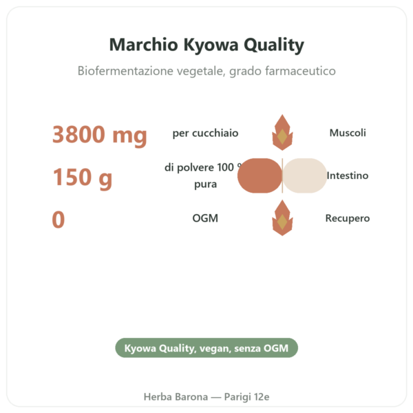 L-Glutammina Dynveo POLVERE Kyowa Quality 150g benefici e dati chiave Paris Herba Barona