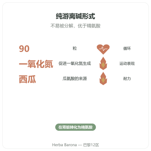 Nutrimuscle L-瓜氨酸基础型 – 90粒胶囊 功效与数据 Paris Herba Barona