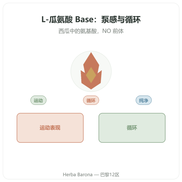 Nutrimuscle L-瓜氨酸基础型 – 90粒胶囊 产品展示 Paris Herba Barona