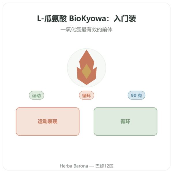 L-瓜氨酸粉 BioKyowa 90克 – Nutrimuscle 产品展示 Paris Herba Barona