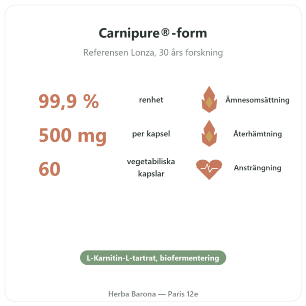 Karnitin (tartrat) Carnipure® – 500mg / 60 kapslar Dynveo fördelar och nyckelfakta Paris Herba Barona