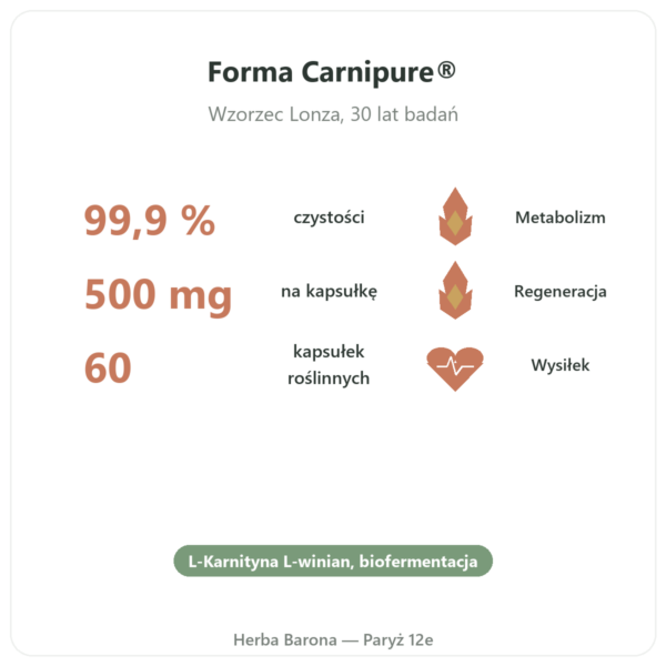 Karnityna (winian) Carnipure® – 500mg / 60 kapsułek Dynveo korzyści i najważniejsze fakty Paris Herba Barona