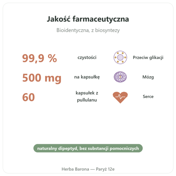 Karnozyna 500 mg 60 kapsułek DYNVEO korzyści i najważniejsze fakty Paris Herba Barona