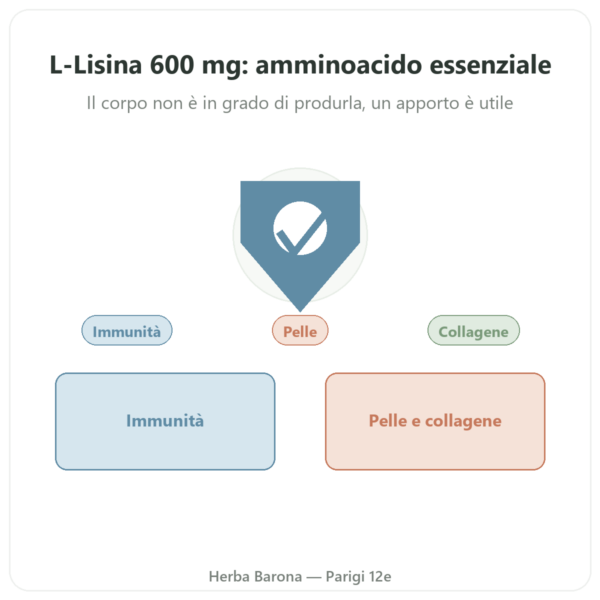 L-Lisina 600 mg – Dynveo – 90 capsule – Aminoacido essenziale presentazione Paris Herba Barona