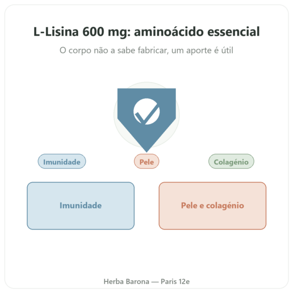 L-Lisina 600 mg Dynveo 90 cápsulas – Aminoácido Essencial apresentação Paris Herba Barona