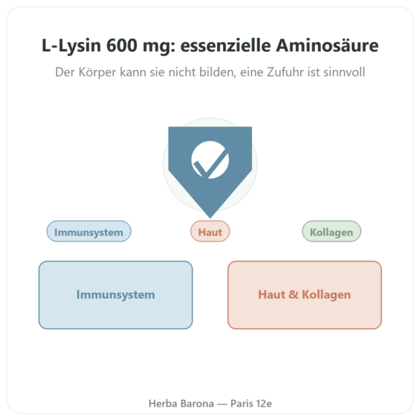 L-Lysin – Dynveo – 600 mg – 90 Kapseln Vorstellung Paris Herba Barona