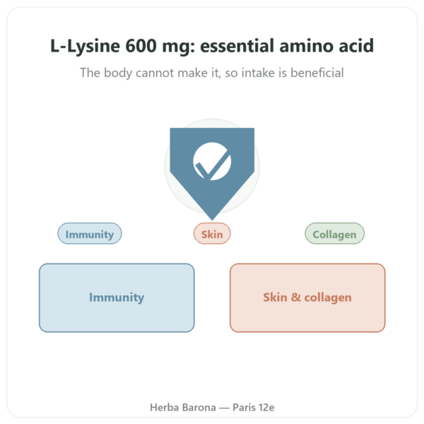 L-Lysine 600 mg – Dynveo – 90 capsules – Essential Amino Acid presentation Paris Herba Barona