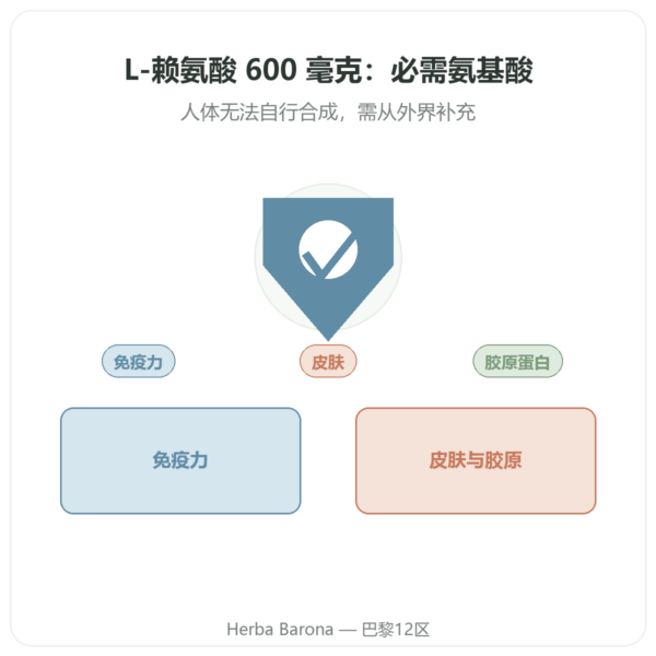 L-赖氨酸 600 mg – Dynveo – 90 粒 – 必需氨基酸 产品展示 Paris Herba Barona