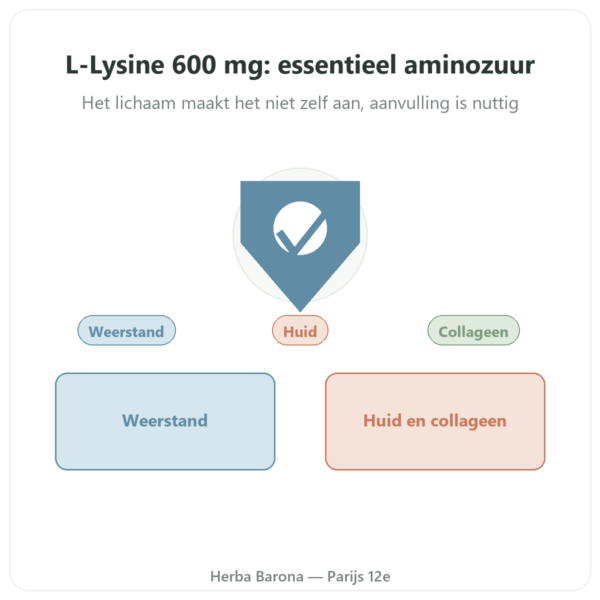 L-Lysine 600 mg – Dynveo – 90 capsules – Essentieel aminozuur presentatie Paris Herba Barona