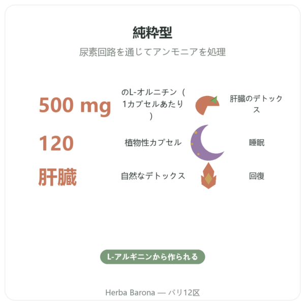オルニチン 500 mg – 120カプセル – Now Foods benefits and key facts Paris Herba Barona