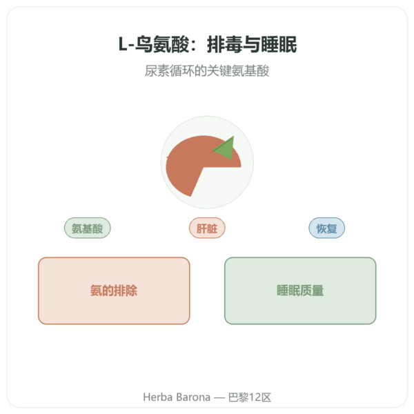 鸟氨酸 500 mg – 120粒 – Now Foods 产品展示 Paris Herba Barona