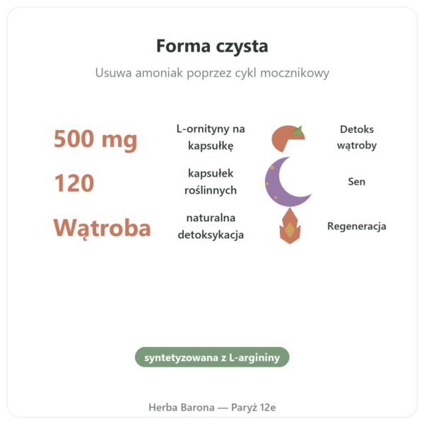 Ornityna 500 mg – 120 kaps. – Now Foods korzyści i najważniejsze fakty Paris Herba Barona