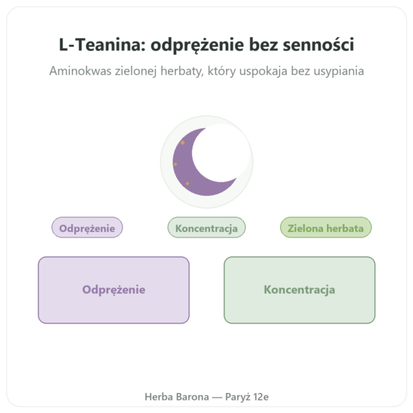 L-Teanina roślinna – Dynveo – 100 mg – 30% L-Teaniny – 60 kaps. prezentacja Paris Herba Barona