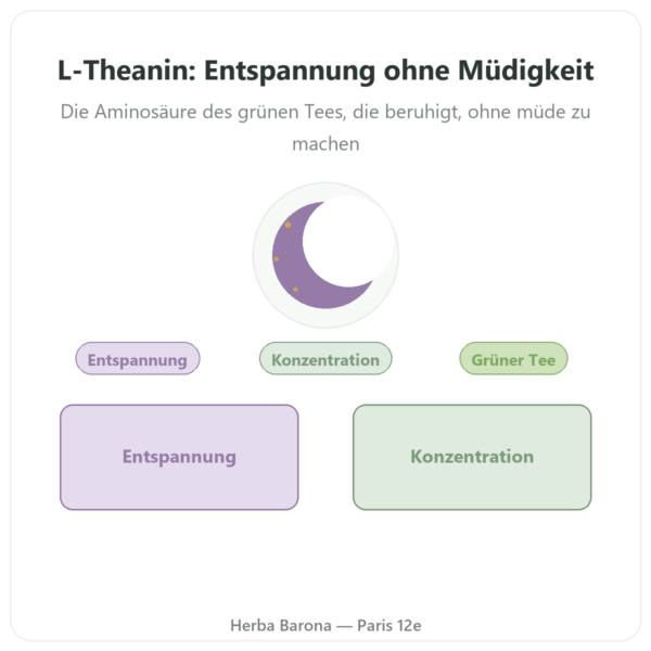 L-Theanin pflanzlich BeTheanine® – Dynveo – 100 mg – 60 Kapseln Vorstellung Paris Herba Barona