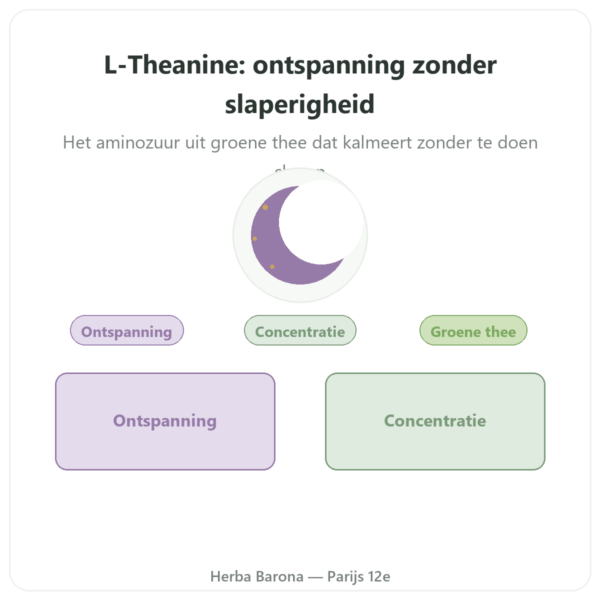 L-Theanine plantaardig – Dynveo – 100 mg – 30% L-Theanine – 60 capsules presentatie Paris Herba Barona