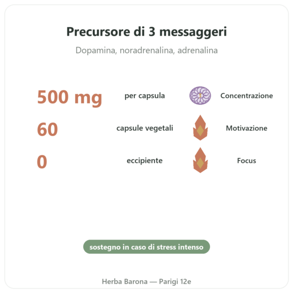 L-Tirosina 500 mg – Dynveo – 60 capsule benefici e dati chiave Paris Herba Barona