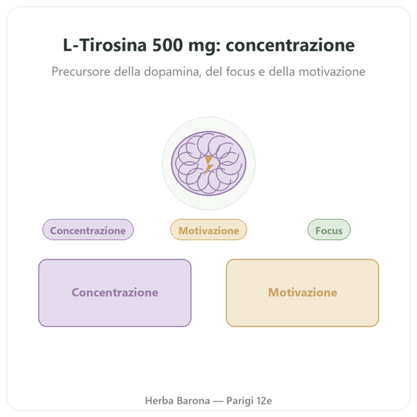 L-Tirosina 500 mg – Dynveo – 60 capsule presentazione Paris Herba Barona