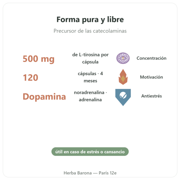 L-Tirosina 500 mg – 120 Cápsulas – Doctor's Best beneficios y datos clave Paris Herba Barona