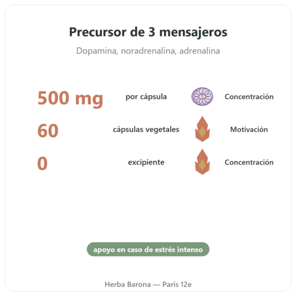 L-Tirosina 500 mg – Dynveo – 60 cápsulas beneficios y datos clave Paris Herba Barona